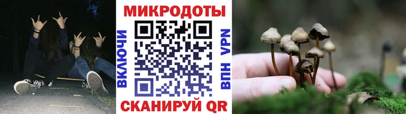 хочу наркоту  Слюдянка  Галлюциногенные грибы ЛСД 